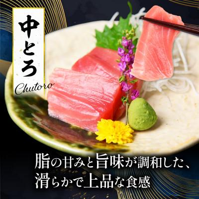 ふるさと納税 宿毛市 本まぐろ中とろ3柵セット |  | 01
