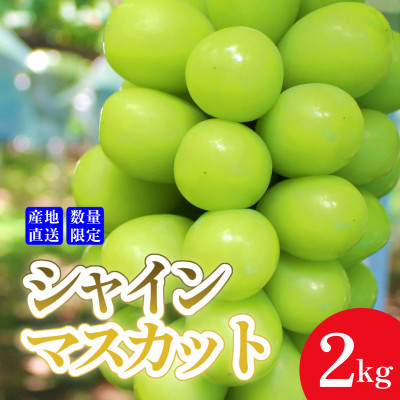 
＜産地直送＞厳選高級シャインマスカット 2kg(3～4房)【1518455】

