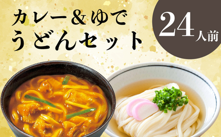 さぬきうどん ＆ カレーうどん セット 24人前 出汁 スープ付き