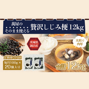 【6ヶ月定期便】涸沼産冷凍しじみ中粒２kg（100g×20p）【シジミ 中粒しじみ 産地直送 砂抜き済み 砂抜き 小分け包装 味噌汁 みそ汁 茨城県】（CA-13）