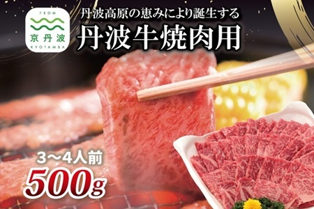 【京丹波・丹波牛】焼肉用 500g 3~4人前 国産和牛 【2026年1月中旬以降発送】 [025IZ001]