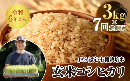 ＜定期便7ヶ月＞【先行予約】 令和6年産米  JAS認定 有機栽培米 西会津産米 コシヒカリ 玄米 3kg 米 お米 おこめ ご飯 ごはん 福島県 西会津町 F4D-0917