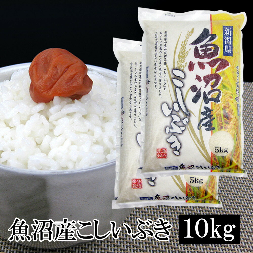 【ふるさと納税】お米マイスター厳選！7年産魚沼産こしいぶき　10kg(5kg×2) | お米 こめ 白米 食品 人気 おすすめ 送料無料