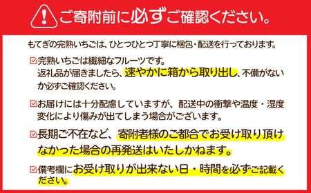 いちご【2月以降発送】朝採れとちあいか 大粒 約270g × 2パック 合計 約540g |イチゴ いちご