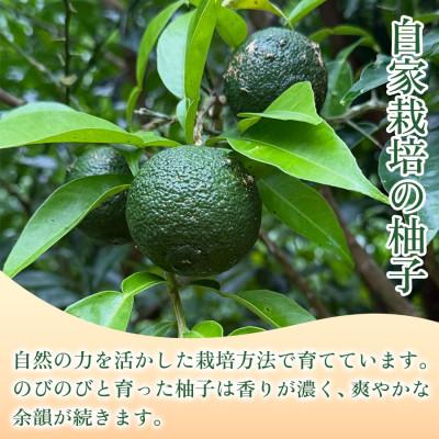 ふるさと納税 神河町 【ひとさじで料理が引き締まる】柚子胡椒(瓶)50g ×6本 8セット |  | 01