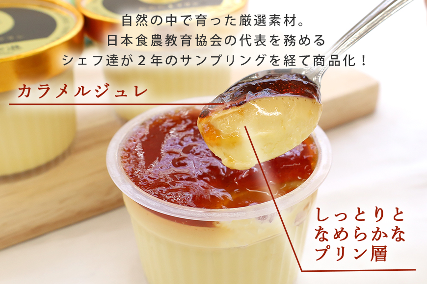 おみたまプリン2種詰合せ 8個入り カラメル＆栗 贈答用黒箱 プリン カラメル ジュレ 栗 くり ぷりん スイーツ 高級 詰め合わせ ギフト 内祝い お取り寄せ 取り寄せ 平飼い卵 こだわり 濃厚 高