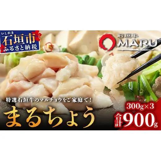 マルチョウ300g×3パック　IM-13