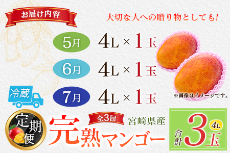 【定期便 完熟マンゴー】2027年出荷 4L×1玉 全3回 果物 フルーツ E220-27
