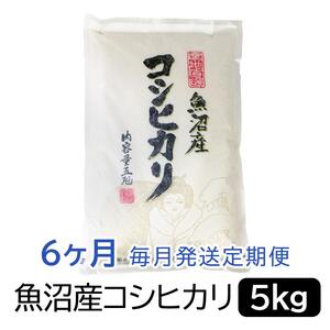 【令和6年産】お米マイスター厳選！魚沼産コシヒカリ５kg×6ヶ月毎月発送　定期便