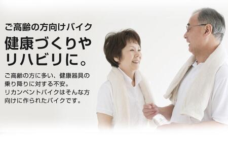 リカンベントバイク7020/AHE7020[AOAB073] トレーニング