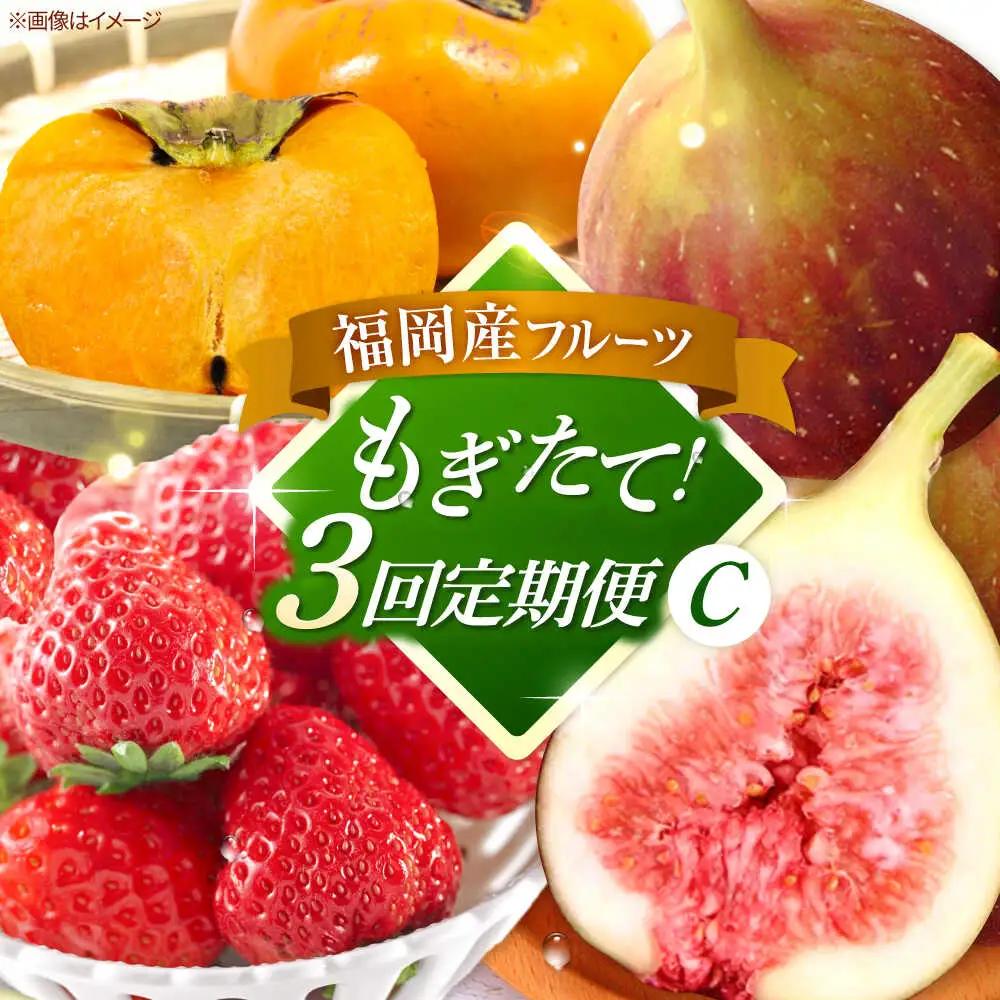 【全3回定期便】九州・福岡もぎたて フルーツ定期便 C　桂川町/一般社団法人地域商社ふるさぽ[ADCF019]