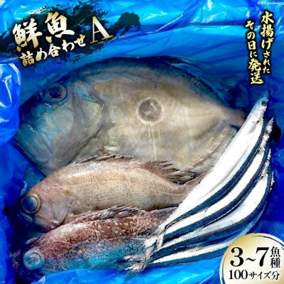 ふるさと納税 気仙沼市 鮮魚 詰め合わせ A 3?7魚種 100サイズ分 産地直送 旬 魚介 魚 さかな  さんりくみらい | 