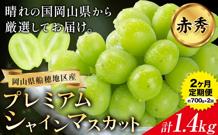 【2026年先行予約】ぶどう プレミアム シャインマスカット定期便 9月 10月発送 船穂 赤秀品 晴王 計1.4kg (約700g×2回お届け) 《2026年9月中旬-10月末頃より出荷予定(土日祝除く)》晴レ乃青果　(岡山中央卸売市場店(富士紙工 有限会社)) マスカット 岡山県 浅口市 フルーツ 果物 【配送不可地域あり】（北海道・沖縄・離島）