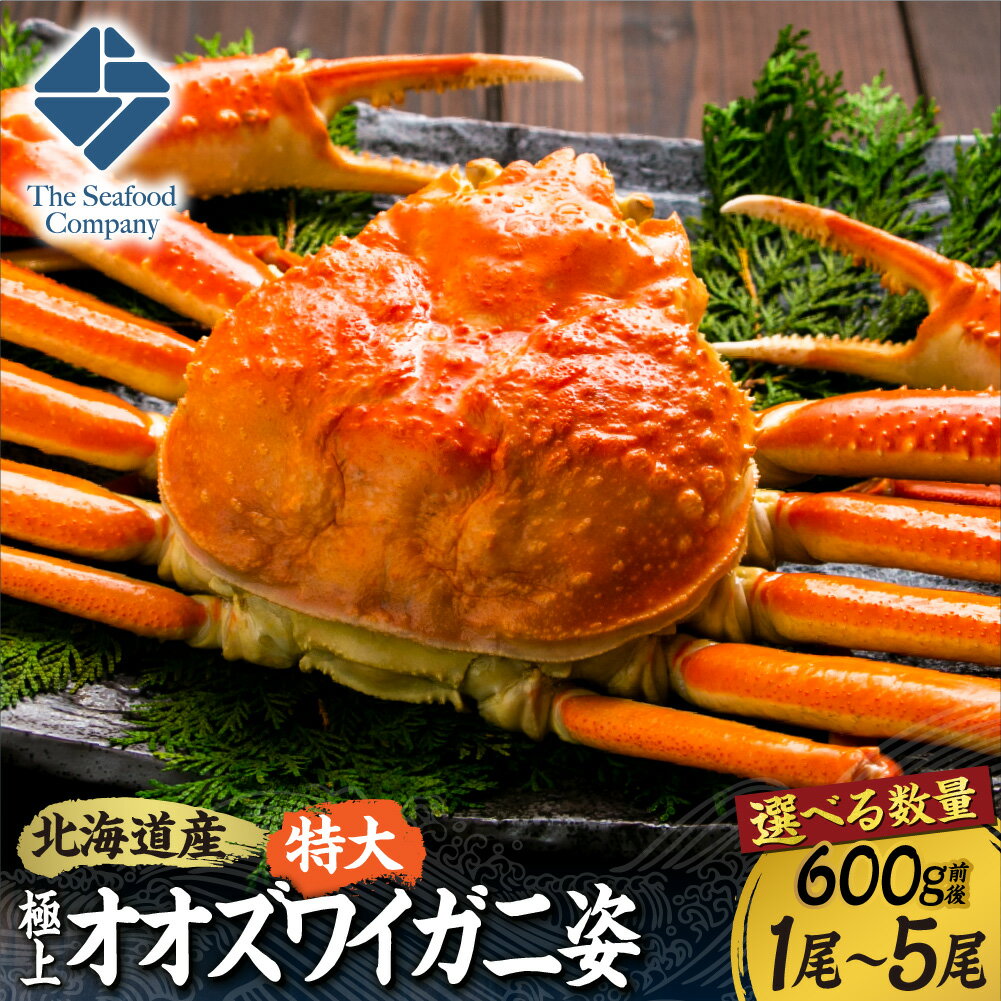【ふるさと納税】 北海道産 特大 極上 オオズワイガニ 姿 【 選べる 数量 】 600g 前後 1尾～5尾 楚蟹 ズワイガニ カニ 1.2kg 1.8kg 2.4kg 3kg ボイル 蟹味噌 お取り寄せ グルメ かにみそ 甲羅 冷凍 国産 魚介 甲殻類 水産 海鮮 厳選 北海道 札幌市