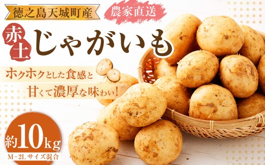 【農家直送】 徳之島 天城町産 赤土じゃがいも 10kg （ M～2L サイズ混合 ） 南部ガーデン 赤土バレイショ ジャガイモ じゃがいも バレイショ ばれいしょ 鹿児島県 天城町 CB-6