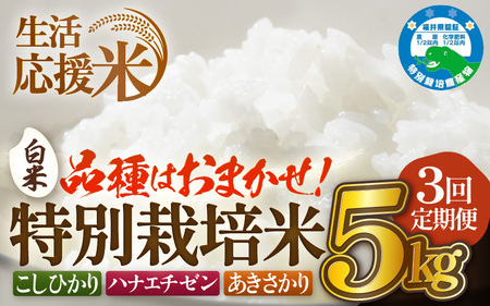 【生活応援米】定期便 ≪3ヶ月連続お届け≫令和7年産 特別栽培米5kg × 3回（計15kg）【白米】 農薬5割減 [e81-c001_01]