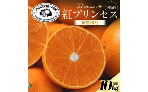 【先行受付】＜紅プリンセスと同品種＞「甘平×まどんな」愛果48号＜10kg＞＜家庭用＞＜H70-113＞【1683898】 YWTK112