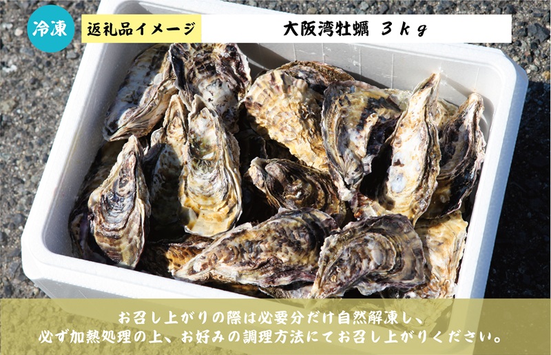 【先行予約】大阪湾牡蠣 3kg 099H3476