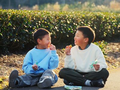 9-9 川根の丸干しいも（3袋）