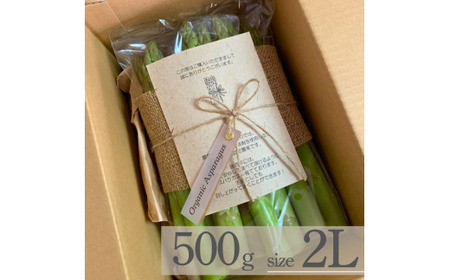 【先行予約】オーガニック グリーンアスパラガス  2L 500g オーガニック