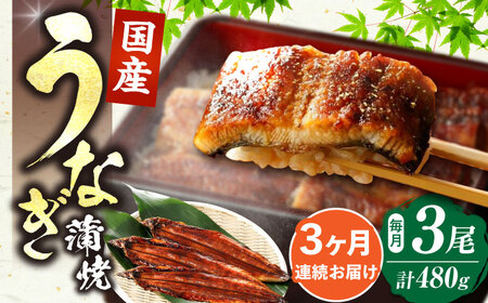 【全3回定期便】福岡県産 うなぎ 蒲焼 大3尾 合計 480 g（1尾あたり 160g以上）[VAD014] 国産 うなぎ
