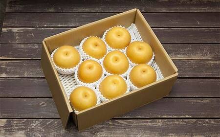 ≪2026年先行予約≫【仲野観光果樹園】山形県産 品種おまかせ 和梨 3kg(6～10 玉) 秀品 2026年8月下旬から順次発送 F2Y-5469