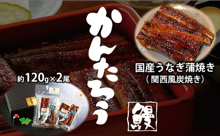 うなぎ 国産 関西風炭焼き 約120g×2尾 惣菜 うなぎ