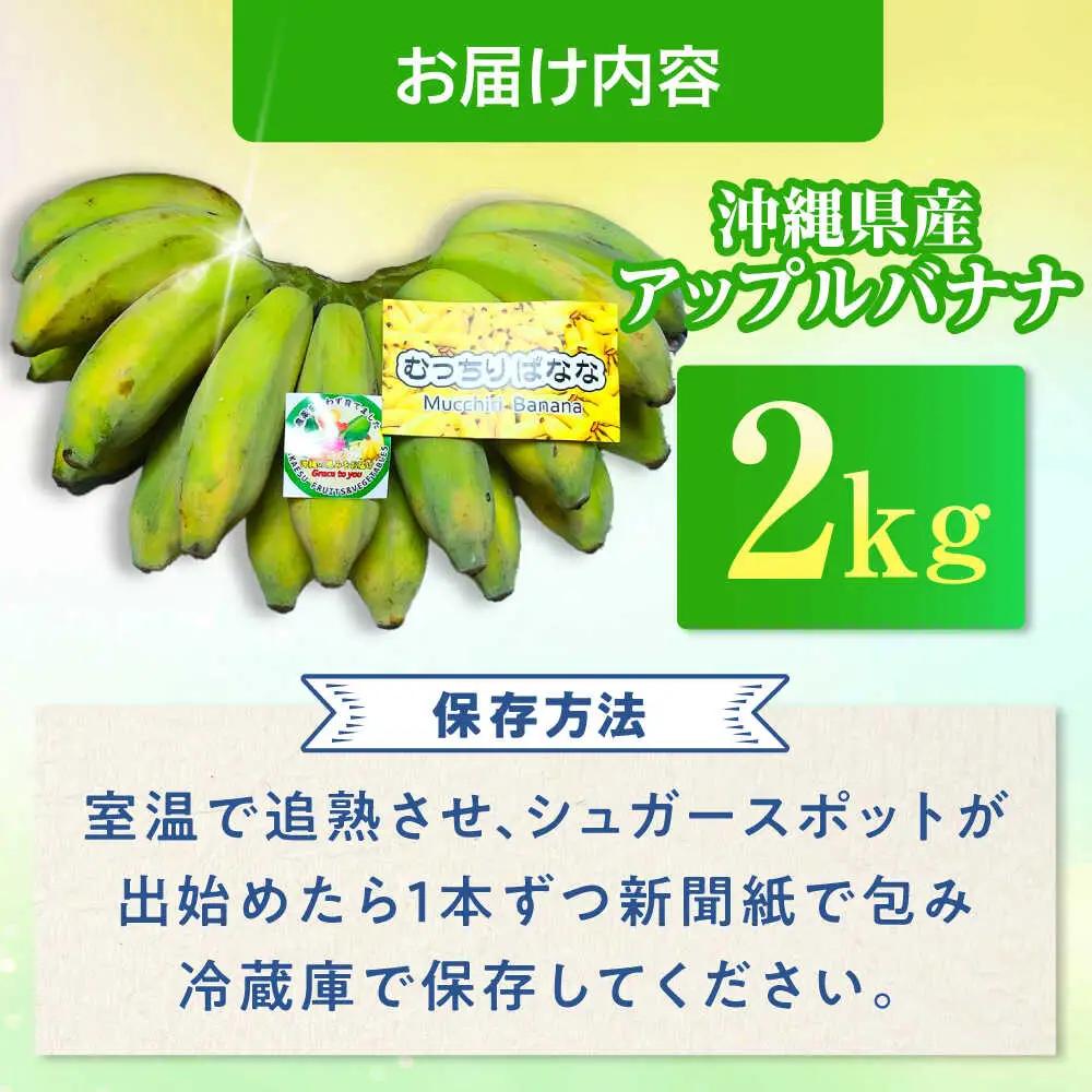 【2026年発送】沖縄県産 アップルバナナ 2kg  BCBH001