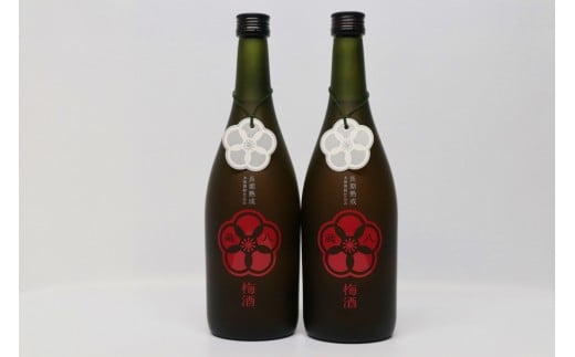 
            球磨焼酎　堤酒造　蔵八梅酒 720ml×2本
          