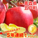 【ふるさと納税】【青森ごのへ産】味に自信 りんご サンふじ 約5kg【配送不可地域：離島・沖縄県・中国・四国・九州】【1034082】