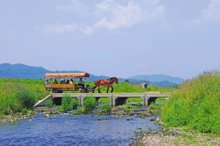 京馬車で行くトロッコ亀岡駅から保津川下り乗船場コース大人（13歳以上）4人・子ども（4歳から12歳まで）2人分