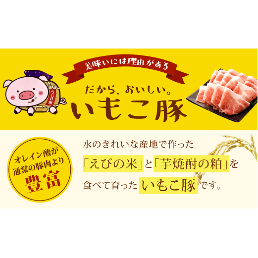 【3回定期便】豚肉 宮崎県産 いもこ豚 焼肉 セット 3kg × 3回 総合計 9kg 切り落とし 小分け 豚 豚バラ バラ ロース 肩ロース スライス 小間切れ 焼肉用 焼き肉 BBQ 鉄板焼き 豚