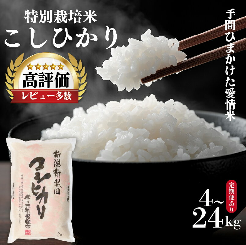 【ふるさと納税】 令和7年産 コシヒカリ 2kg 4kg 6kg 10kg 米 選べる 単品 白米 精米 玄米 ご飯 料理 おにぎり 弁当 新潟県産 新潟産 新発田産 コシヒカリ 佐々木こうき 佐々木耕起 佐々木耕起組合 特別栽培米 新潟県 新発田市 非常食 常備食