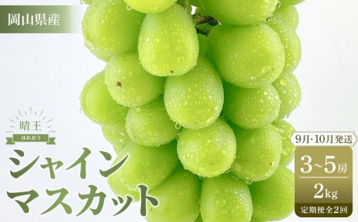 【定期便 全2回／2025年9・10月発送】 岡山県産シャインマスカット 晴王 約2kg（3～5房） 2回定期便　9月10月に1回づつ発送　種無し 皮ごと食べる 旬の美味しさ　フレッシュ 先行予約　ハレノフルーツ