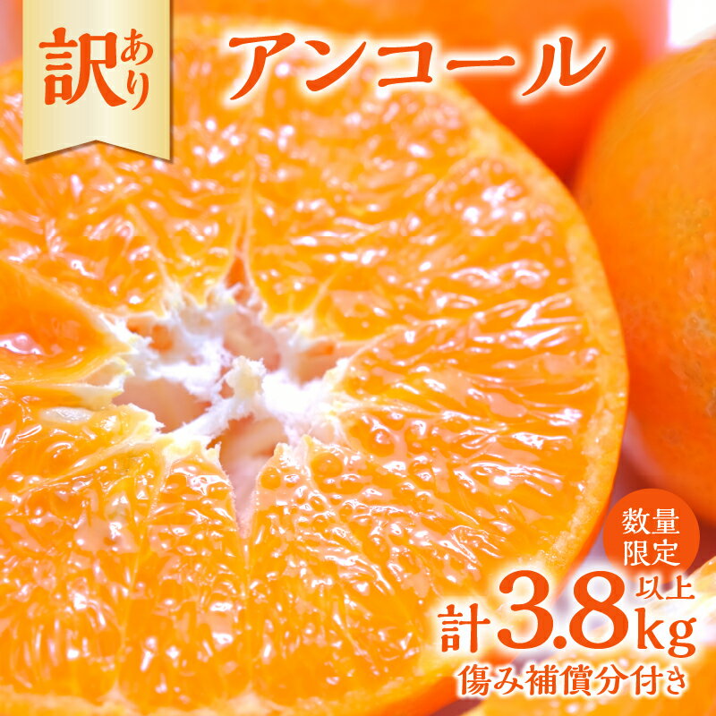 【ふるさと納税】先行予約 訳あり アンコール 計3.8kg以上 傷み補償分入り 令和8年発送 期間限定 数量限定 フルーツ 果物 くだもの みかん オレンジ ジュース 柑橘 国産 食品 不揃い 傷 規格外 訳アリ 家庭用 おすそ分け おすすめ デザート おやつ 宮崎県 日南市 送料無料
