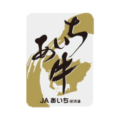【トマト煮込み】こだわりのあいち牛『肉汁』ハンバーグ　20個セット　おいしい食べ方レシピ付き【配送不可地域：離島】【1405732】