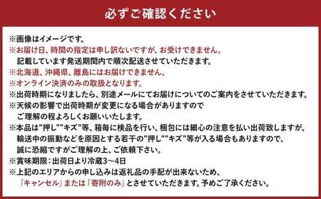 ぶどう 2024年 先行予約 ご家庭用 ニュー ピオーネ 優品 3房入り（1房 530g以上 露地栽培） ブドウ 葡萄  岡山県産 国産 フルーツ 果物 ギフト