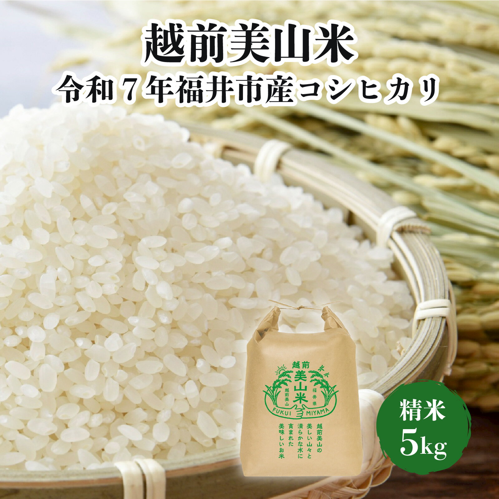 【ふるさと納税】越前美山米　令和7年福井市産コシヒカリ　精米5kg [B-204001] / 新米 精米 米 お米 コメ 送料無料 コシヒカリ こしひかり 令和七年産 七年 7年 令和7年 福井県 福井市