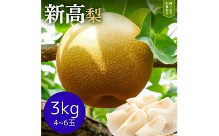 ※先行受付※【新高3kg】かまがや育ちの完熟梨（梨業組合）