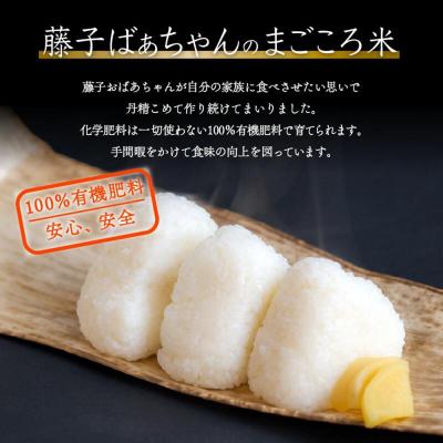 ふるさと納税 小松市 【有機肥料米】藤子ばぁちゃんのまごころ米 こしひかり 10kg(5kg×2袋) 令和7年 コシヒカリ |  | 01