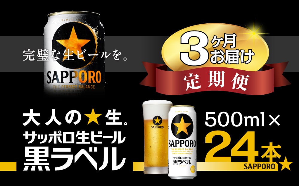 
            【3か月定期便】サッポロ ビール 黒ラベル 生ビール 500ml×24本 千葉県 船橋市 缶ビール お酒 3か月定期便
          