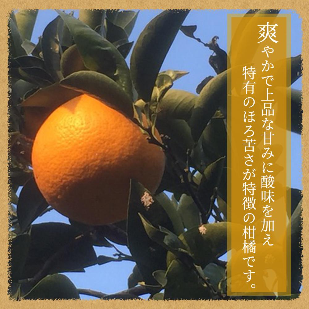 八朔（はっさく）約10kg　紀州和歌山 かつらぎ産【2026年2月上旬頃～2026年2月下旬頃に順次発送】【UT19】