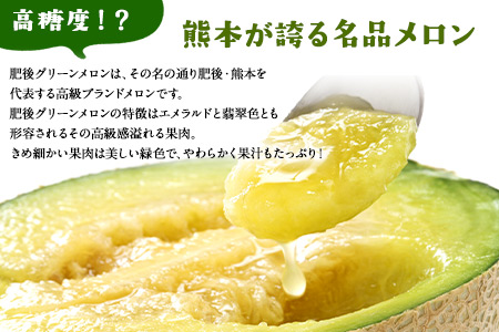 【先行予約】「ミヤザキファーム」 肥後グリーンメロン2玉 糖度14度以上(14度-17度) 熊本県氷川町産《6月中旬-6月末頃出荷》