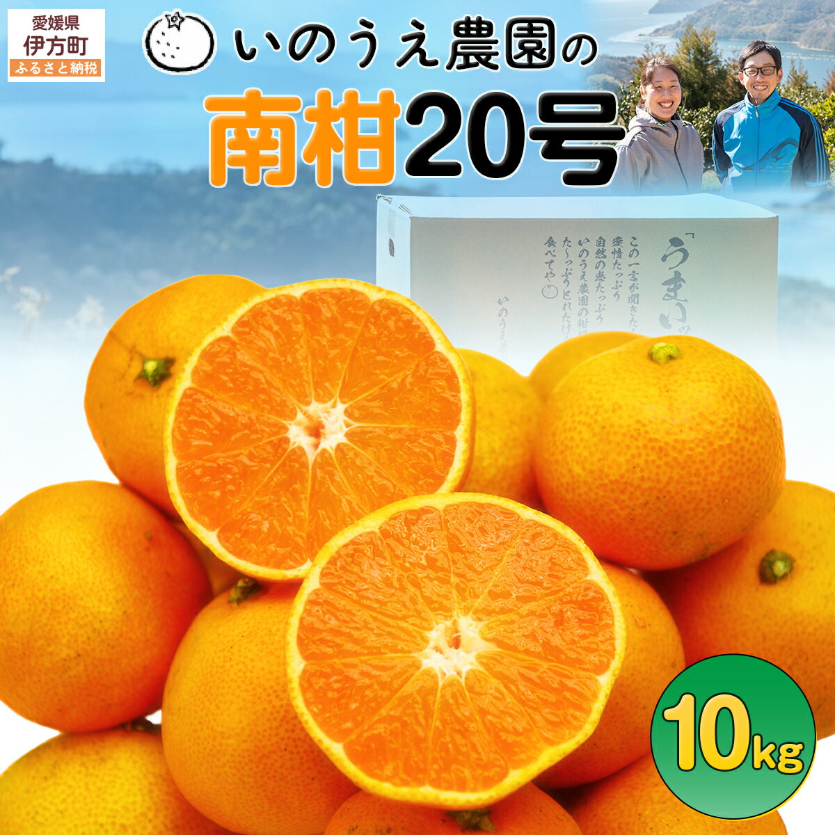 【ふるさと納税】【先行予約】いのうえ農園の南柑20号 10kg ※離島への配送不可（2025年12月上旬より順次発送） 【 ふるさと納税 人気 おすすめ ランキング 柑橘 みかん ミカン 蜜柑 南柑 フルーツ 果物 産地直送 いのうえ農園 愛媛県産 愛媛県 伊方町 送料無料 】 IKTAI007