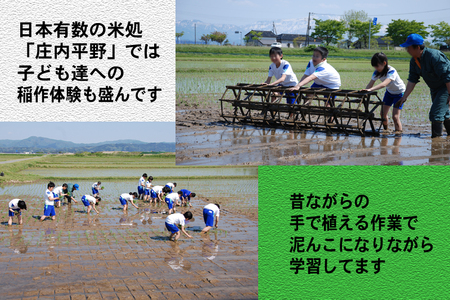 SA2855　令和7年産【精米】 はえぬき 4kg (2kg×2袋) SI