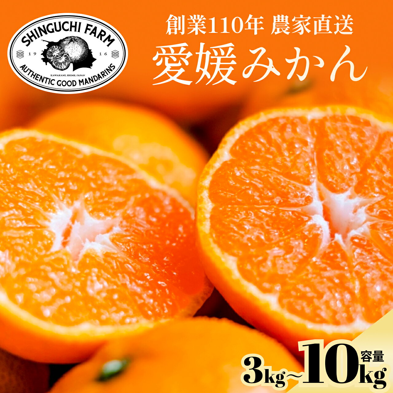 【ふるさと納税】【先行受付】老舗農家が見極めたプレミアム【愛媛みかん】【愛媛県川上産】選べる内容量 3kg /5kg/ 3kg×2箱/ 10kg ふるさと納税 オレンジ みかん ミカン フルーツ 果物 3kg 5kg 6kg 10kg 産地直送 愛媛県 八幡浜市 送料無料