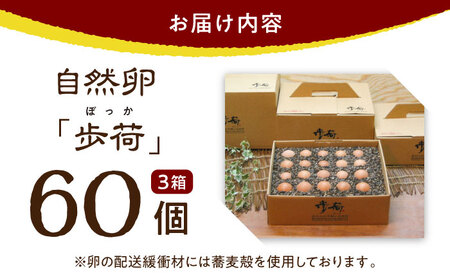 放し飼い 自然卵 「歩荷」 箱60個入 / 卵 たまご 鶏卵 玉子 平飼い / 稲沢市 / 平飼い自然卵歩荷 [BMBM003]