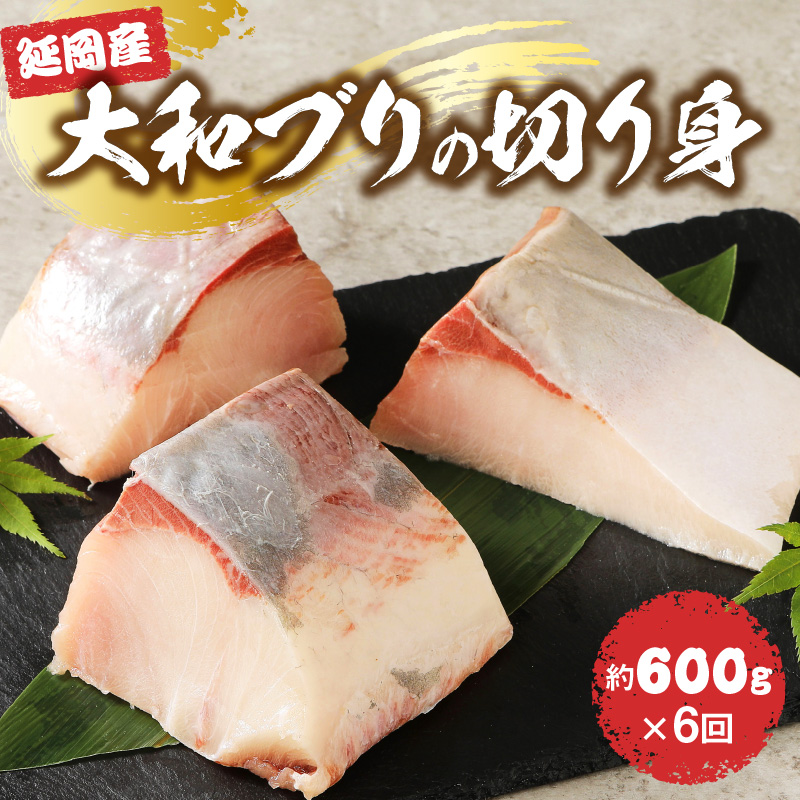 大和ブリの切り身　６ヶ月定期便 N072-YE132