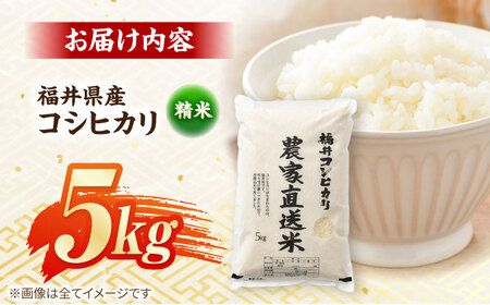 【令和7年産】福井県産 こしひかり 精米 5kg（ビニール袋） 小浜市 / シマダ農園 [BFAV001]