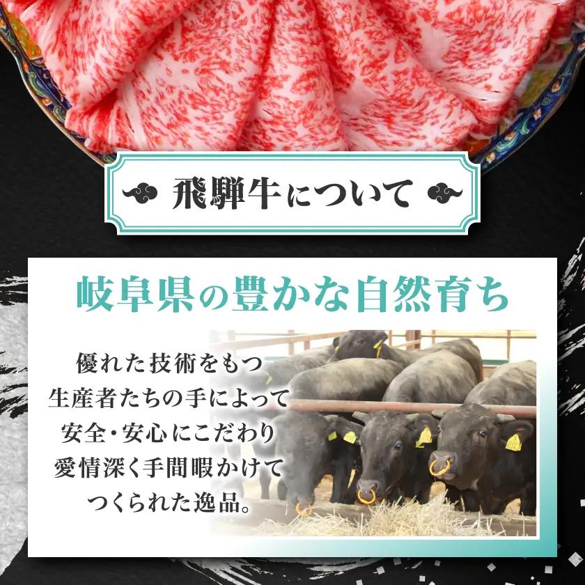 【ふるなびWEEK対象】飛騨牛【白銀ロース】すき焼き・しゃぶしゃぶ用500g【配送不可地域：離島】【1681895】